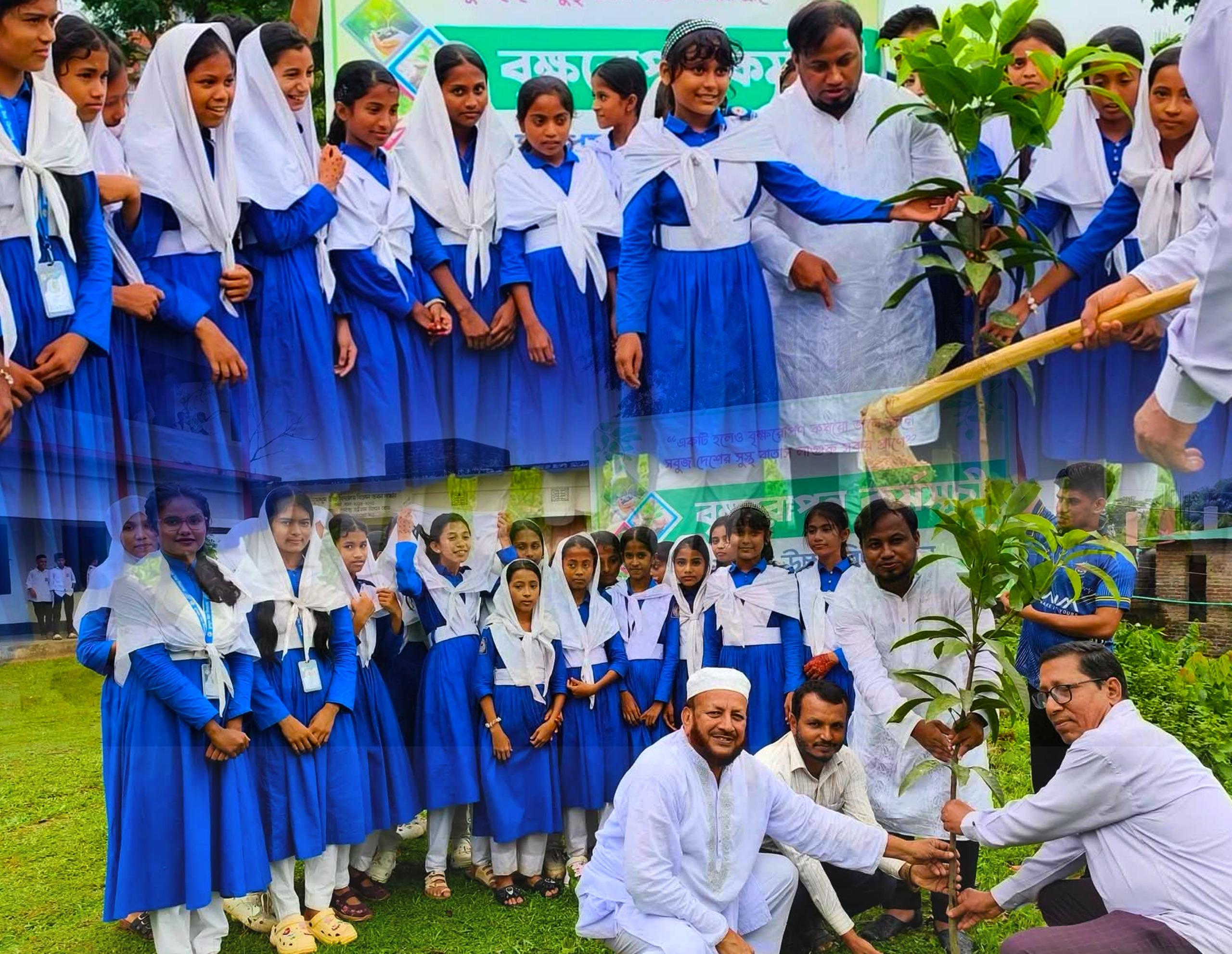 ঘুমধুম উচ্চ বিদ্যালয়ে জলবায়ু সচেতনতামূলক সেমিনার ও বৃক্ষরোপণ কর্মসূচি অনুষ্ঠিত